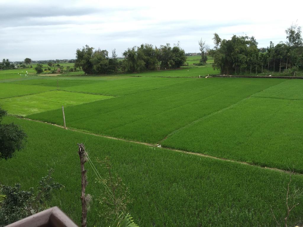 Iris De Villa Hoi An Exteriör bild